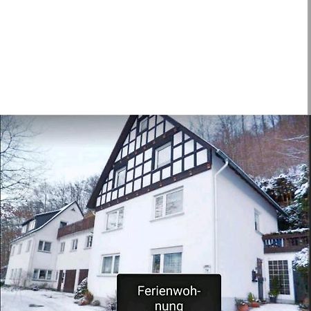 4 Erw. 1 Ki. Ski Entspannung Terasse Ausblick Schmallenberg Eksteriør billede