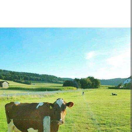 4 Erw. 1 Ki. Ski Entspannung Terasse Ausblick Schmallenberg Eksteriør billede