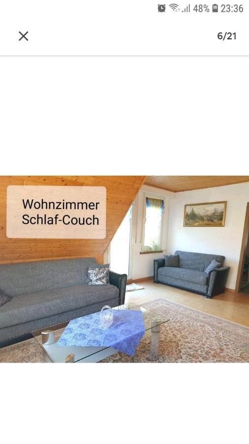 4 Erw. 1 Ki. Ski Entspannung Terasse Ausblick Schmallenberg Eksteriør billede